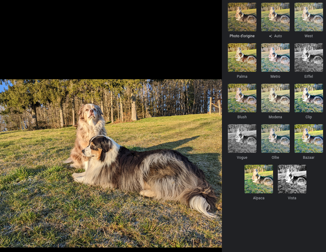 Trois outils simples sous Chrome pour effectuer des retouches photos