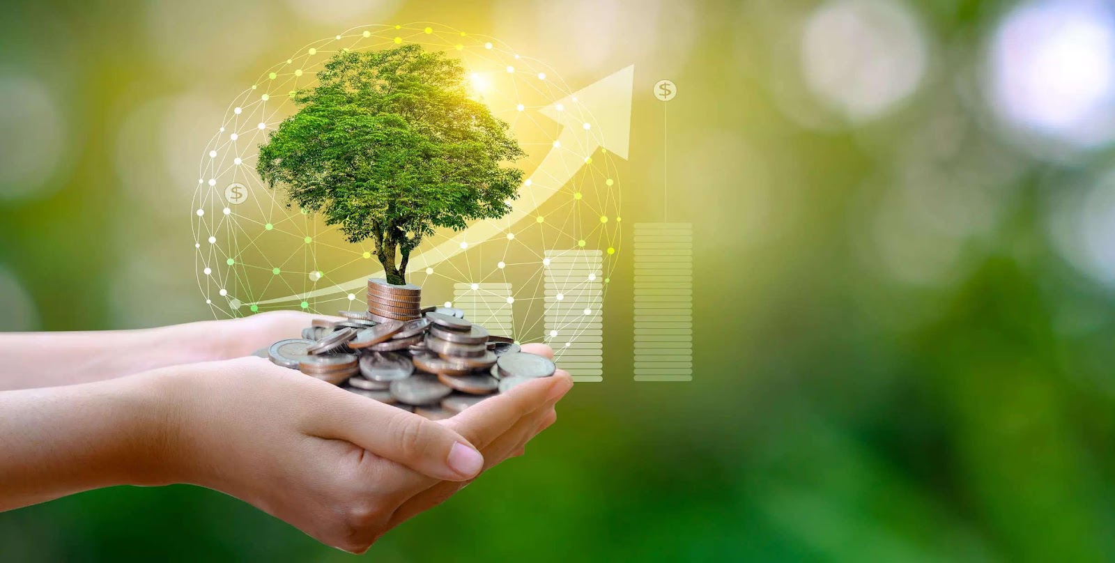 What is sustainable finance and how has it fared?, BFSI News, ET BFSI