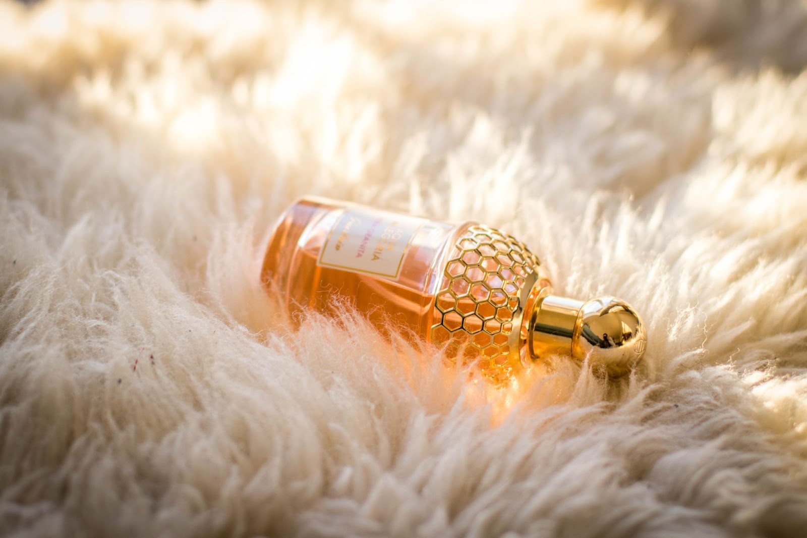 frasco de perfume com um líquido rosa em um plano de fundo claro