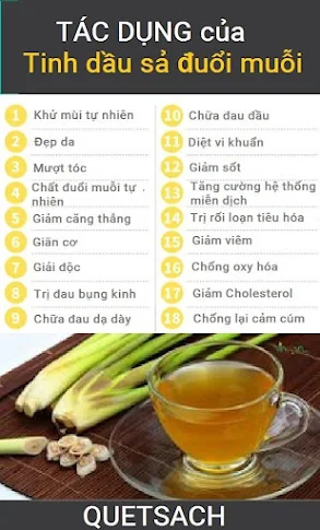 Tip hướng dẫn