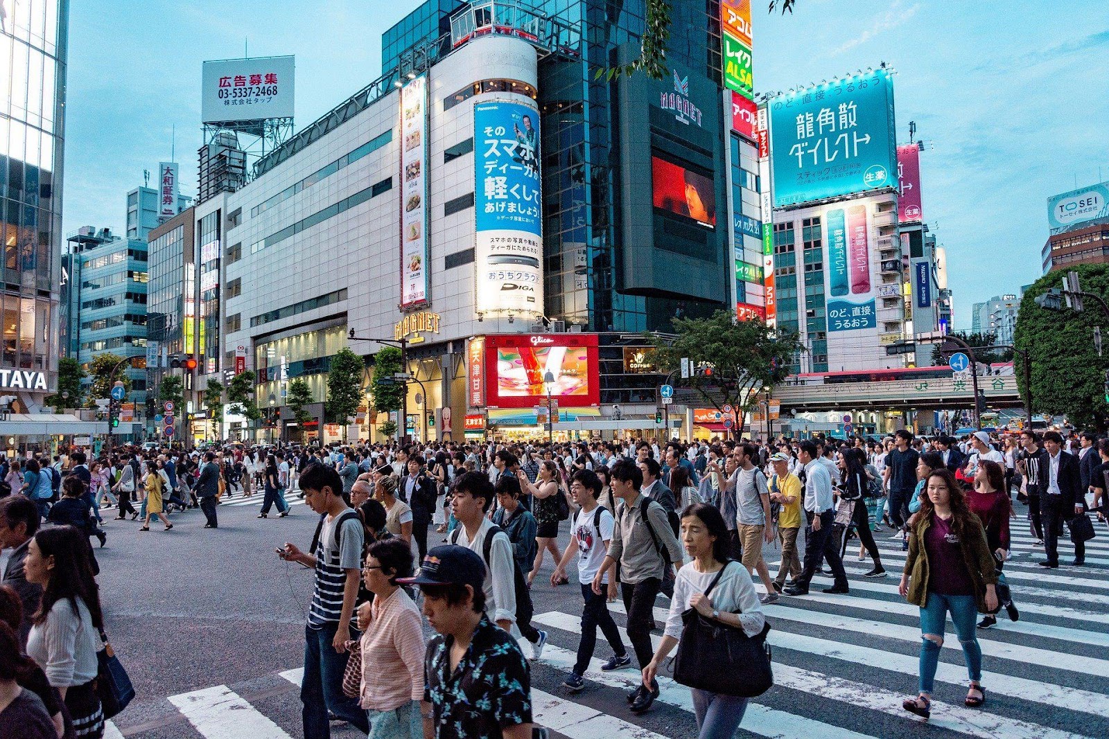 Tak Hanya Tokyo, Berikut 4 Kota Favorit yang Banyak Dikunjungi Turis Saat  Berlibur ke Jepang - Pikiran-Rakyat.com