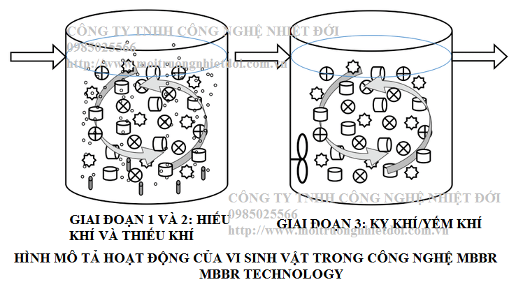  Nguyên lý hoạt động của công nghệ MBBR