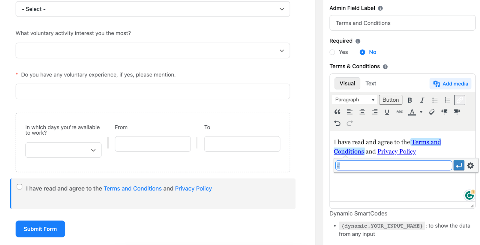 time & date field, editor, Volunteer application form