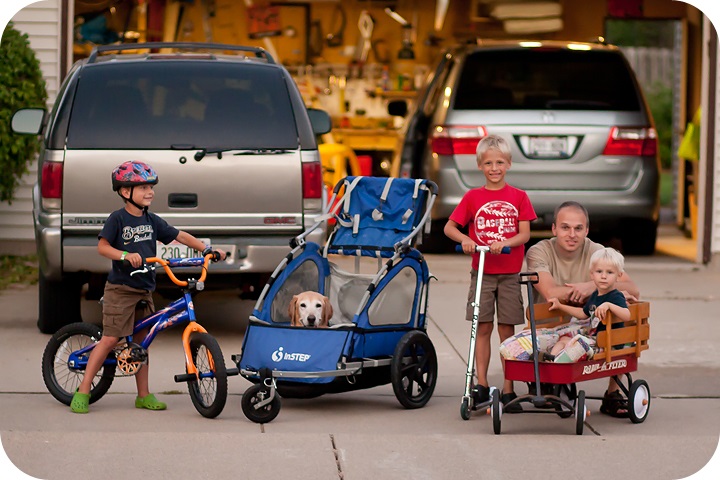 Finley in cart 2012.jpg