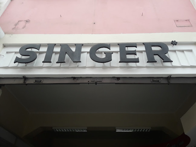 Singer