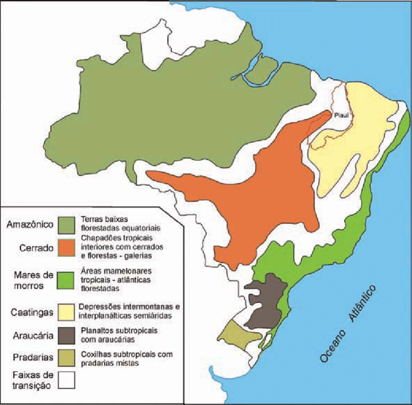 1 -Domínios morfoclimáticos do Brasil. Fonte: Ab'Saber (1969).  