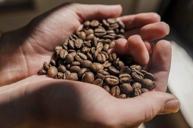 Premium Photo | High angle of barista holding coffee beans in heart-shaped  hands