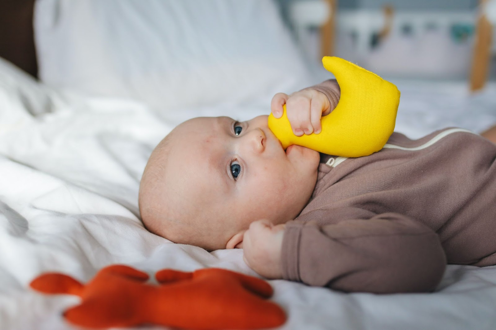 Baby chewing teething toy - Why Do Babies Chew on Their Hands - Baby Journey