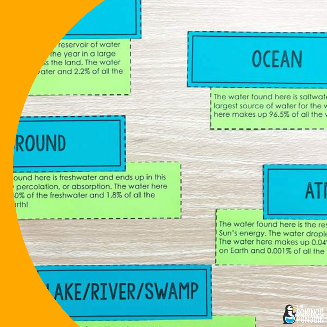 Distribution of Water on Earth Freshwater, Saltwater, and Beyond for