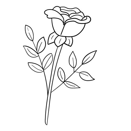 Easy Rose Drawing Outline Ideas