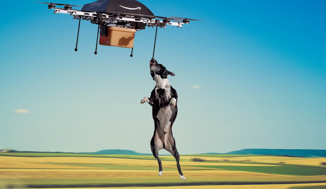 Perro atracando dron