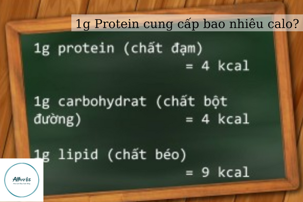 1g protein co bao nhieu calo ben trong