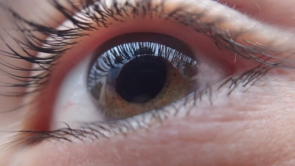 緑内障は視神経が関係している？