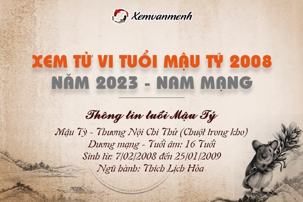 Xem tử vi tuổi Mậu Tý nam mạng năm 2023 