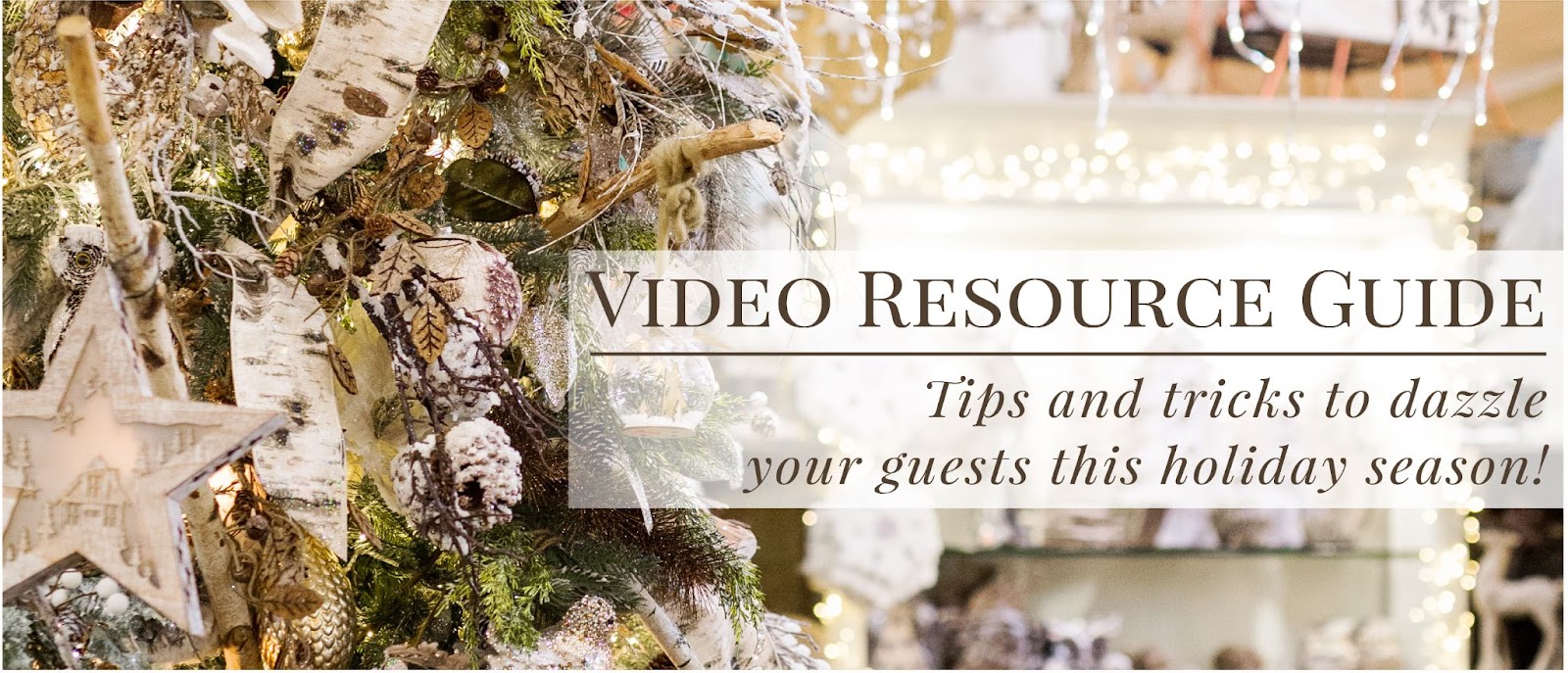 video resources for commercial Christmas decor
