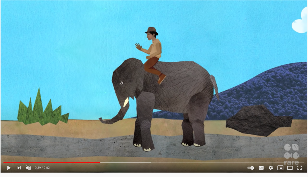 A person riding an elephant

Description automatically generated with medium confidence