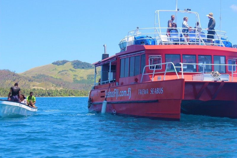 Tavewa seabus in Fiji
