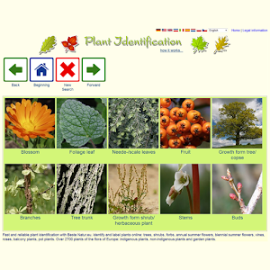 Plant Finder apk Download