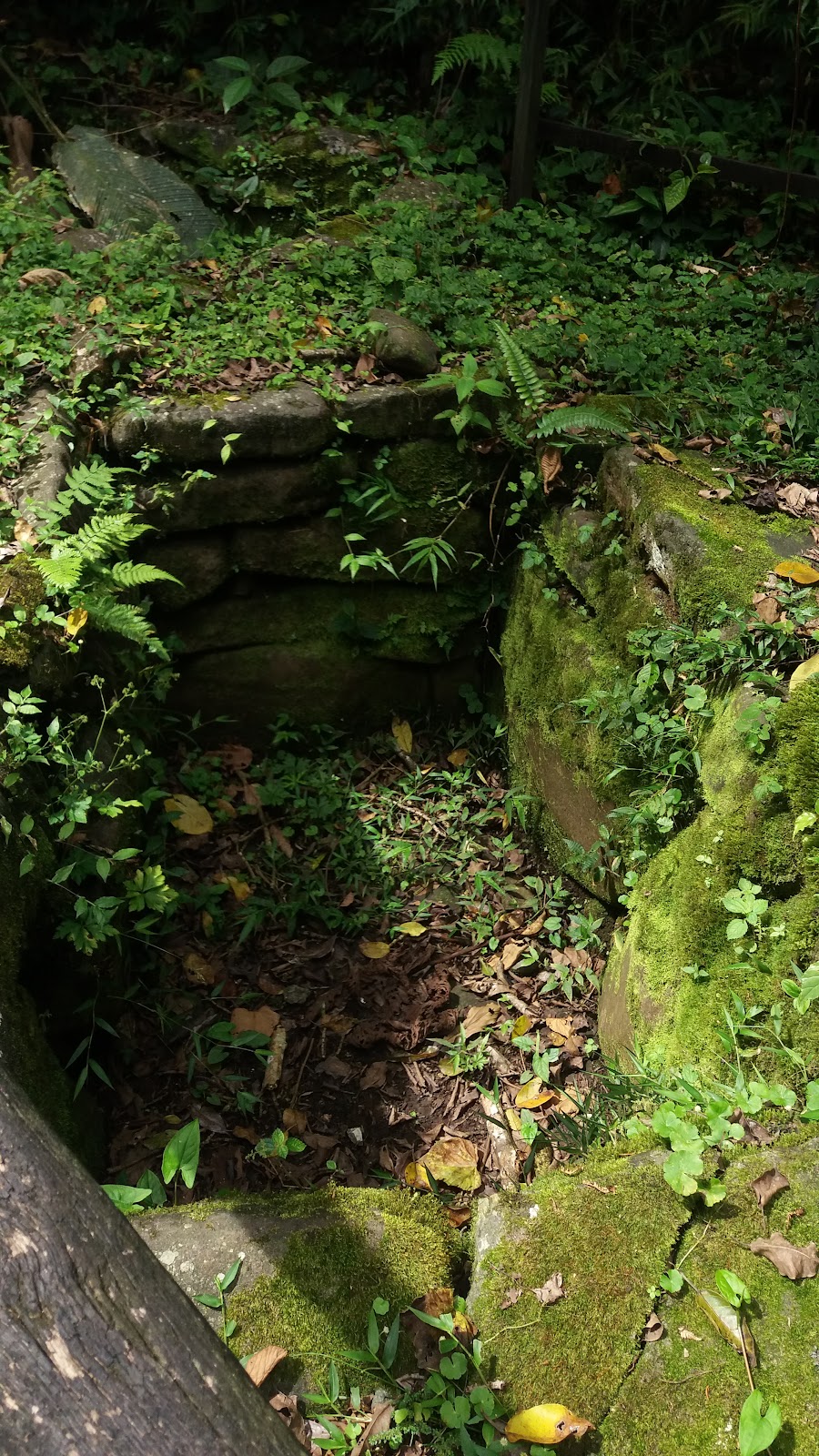 20170913_133307.jpg