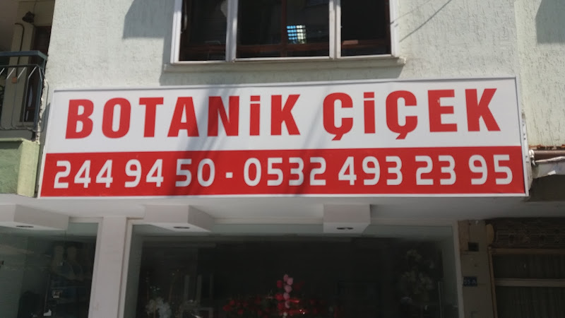Botanik Çiçek