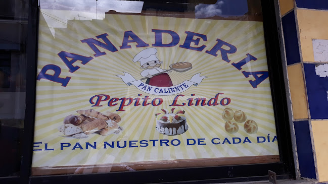 Calle José María N17-74, Quito 170136