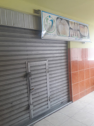 Ceram Flex - Arequipa