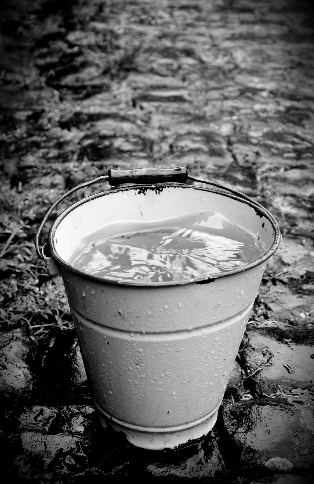 A black and white photo of a bucket collecting rainwater.