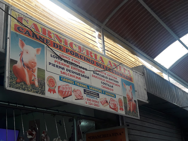 Carniceria Anita