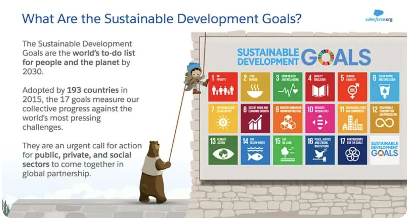 What are the SDGs explanation