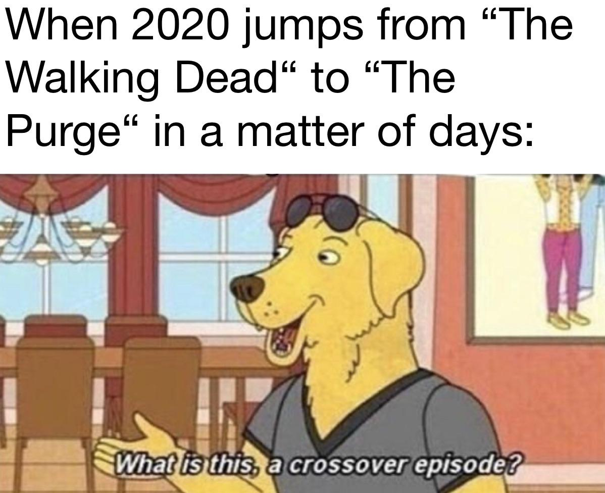 2020 memes