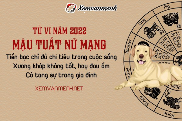 tu-vi-tuoi-mau-tuat-nam-2022-nu-mang-1958