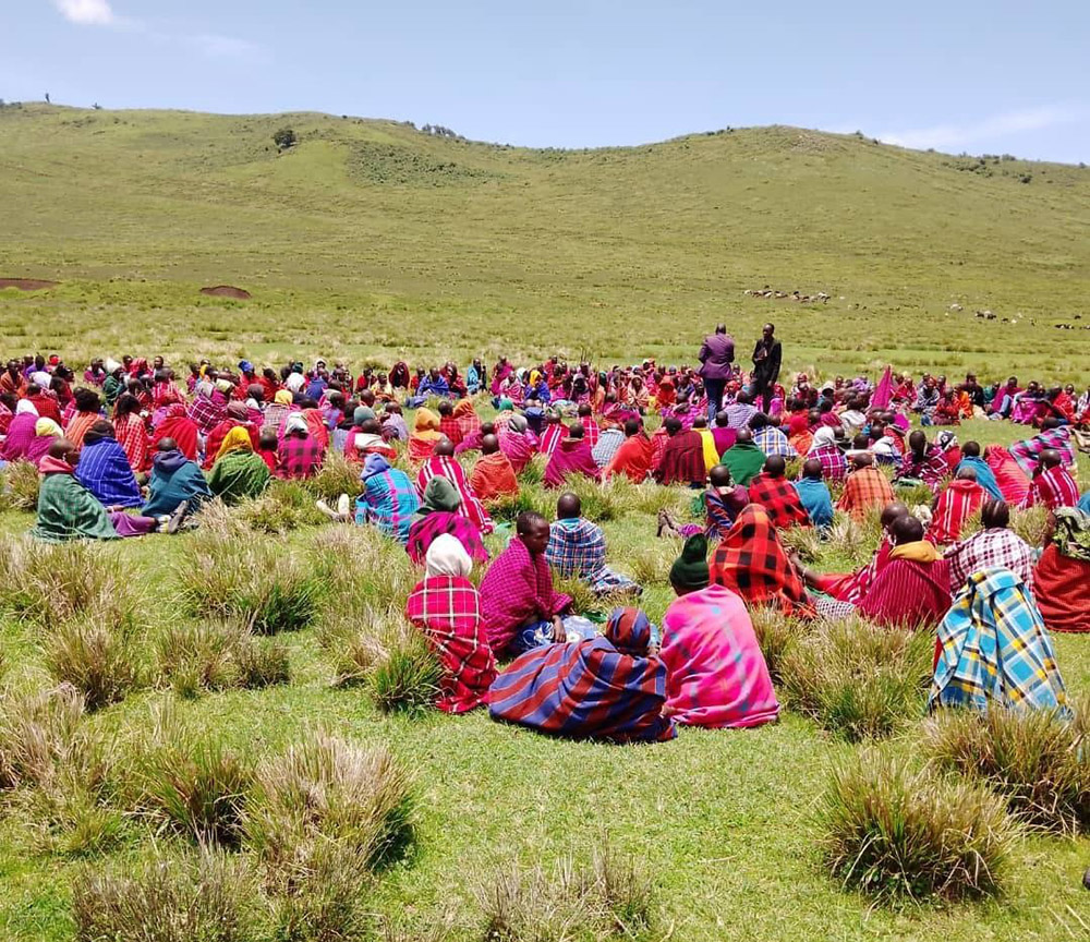 A large group of Maasai with brightly coloured pink and magenta blankets sit on the grass floor of the crater