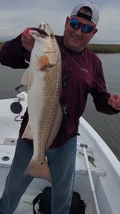 GULF COAST INSHORE FISHING TRIP - Angling AI