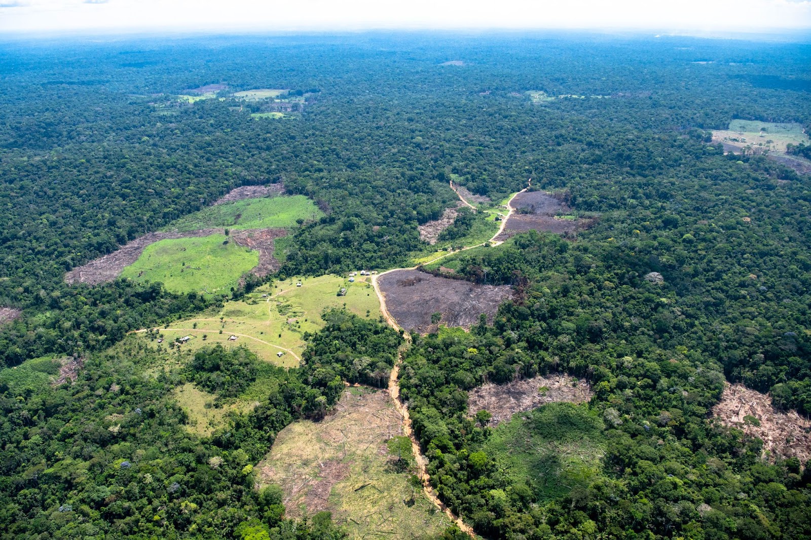 Cinco amenazas que ponen en riesgo al medio ambiente - Greenpeace Colombia