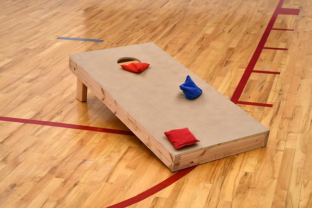a picture of one of the camping games called cornhole