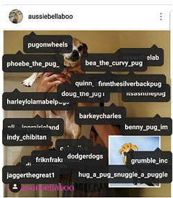 photo tags on instagram