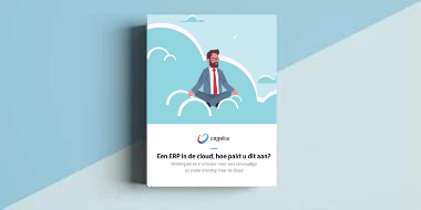 ERP in de cloud E-Book