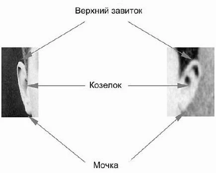 https://lh5.googleusercontent.com/HjkodILMRm9IeUZCud_d_NvP6PJ1TtHTMxjoo88gmucjvZDiIGWAsb2vCo8GsldQrPBgNha_3IoED0aX2QsHZz8i-o2zXRT_4sLdECumoTdsHAukSnnFad0clKNz_vY9g5xmbLTnX-ydTcM4dS1dwg
