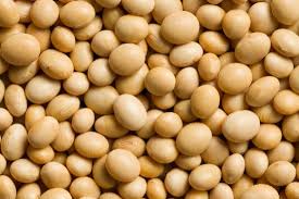 Image result for soya beans