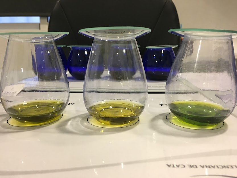 Olive oil tasting glasses. ESAO Image Bank