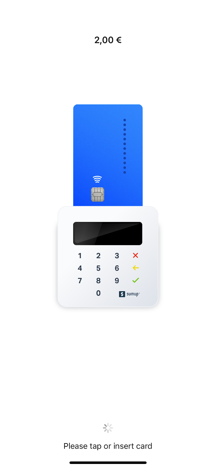 Accept Your First credit card payment