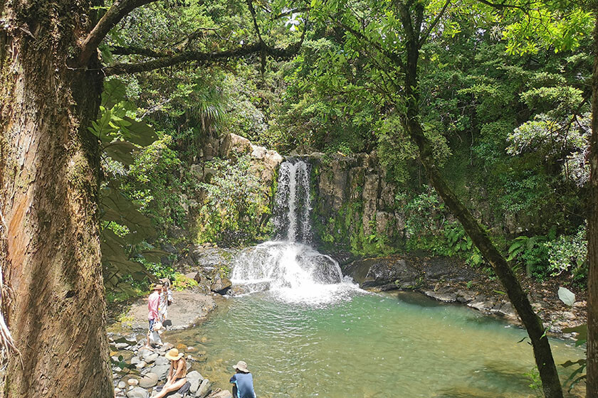 Waiau Falls.