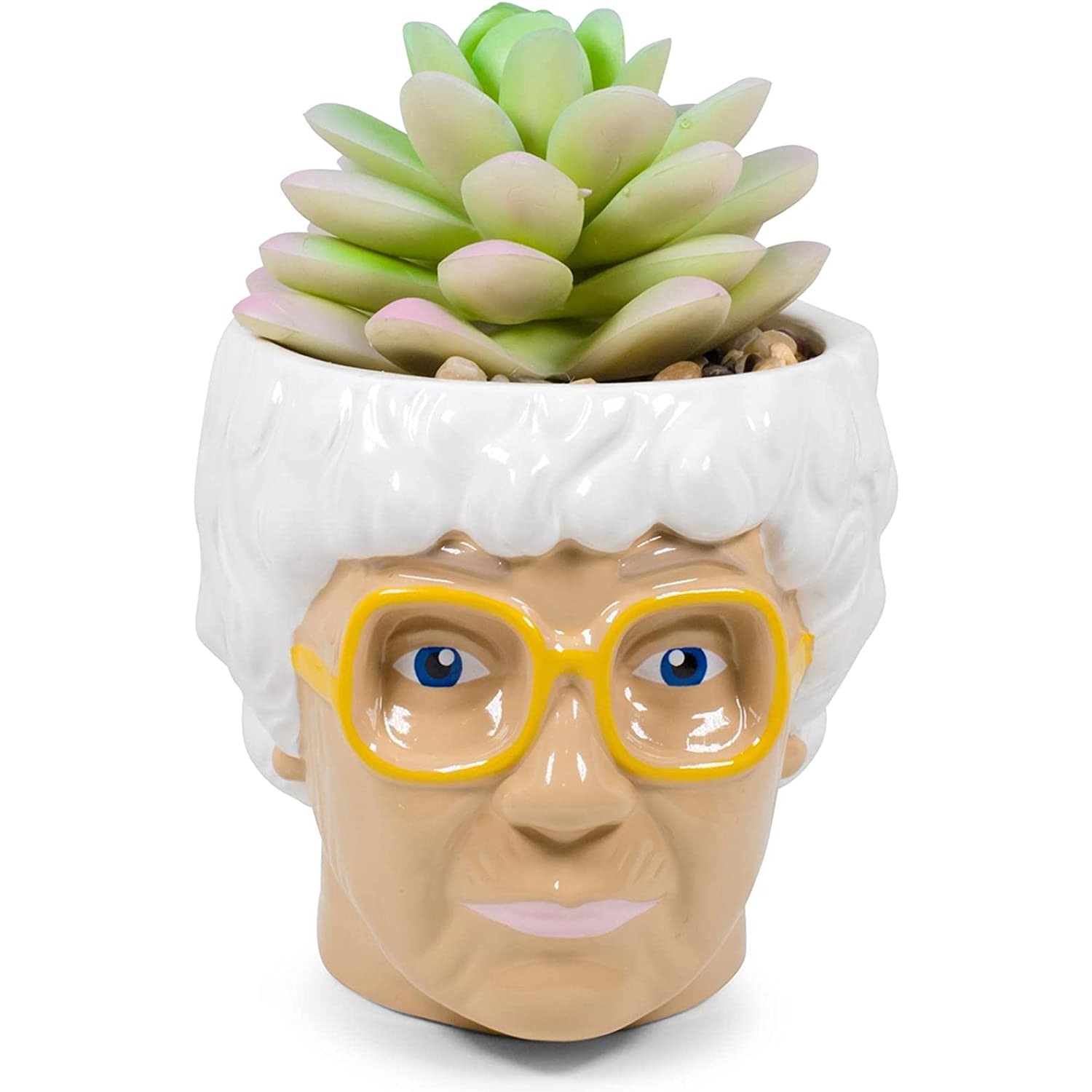 A mini Ceramic Planter with Faux Succulent. The planter is in the shape of Sophia's head from The Golden Girls.