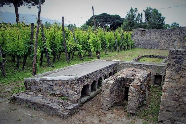 https://www.vinodabere.it/wp-content/uploads/2018/07/Mastroberardino_Pompeii_Osteria-del-Gladiatore-Vineyard-ruins-2.jpg