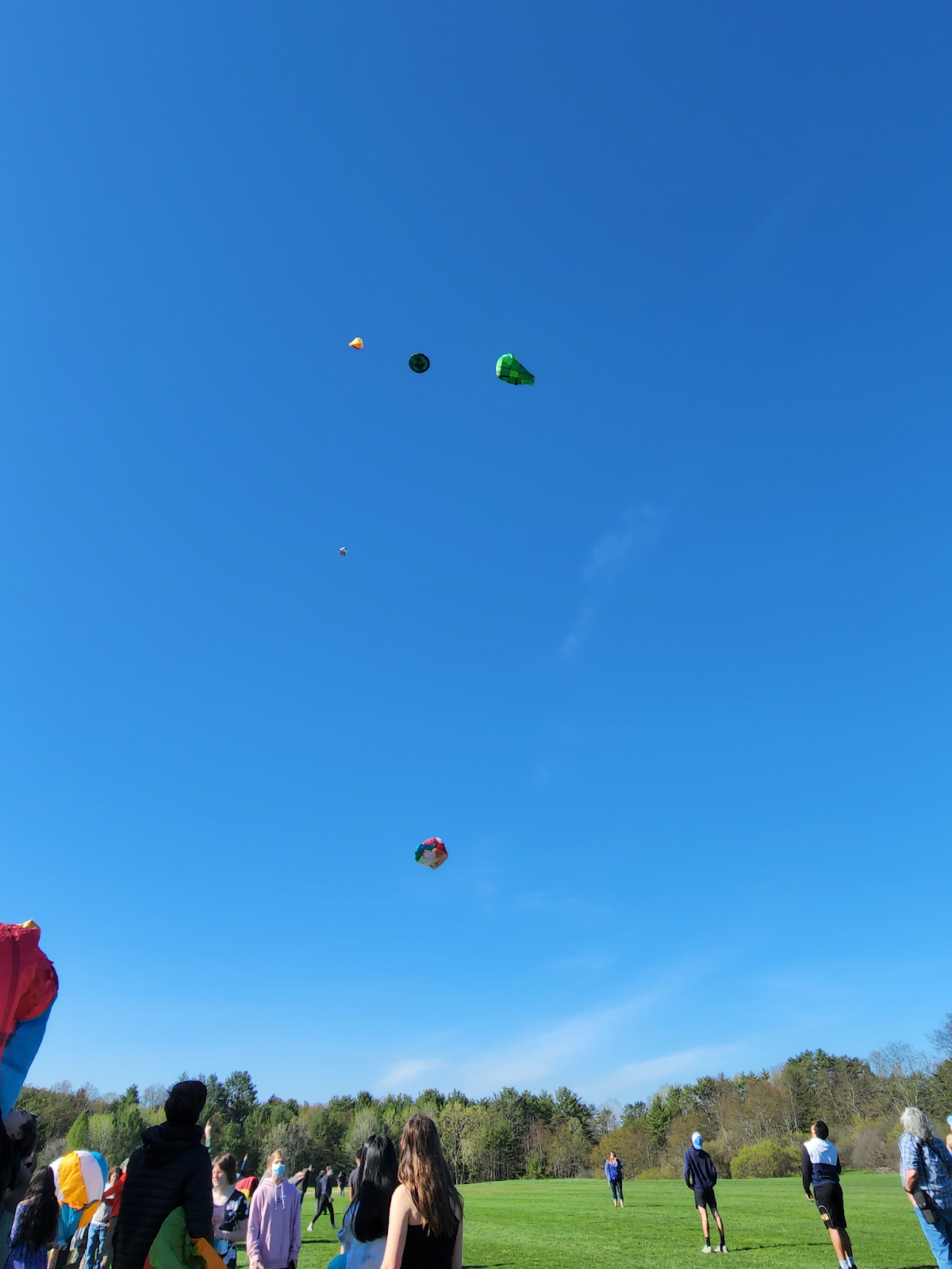 balloons in the sky