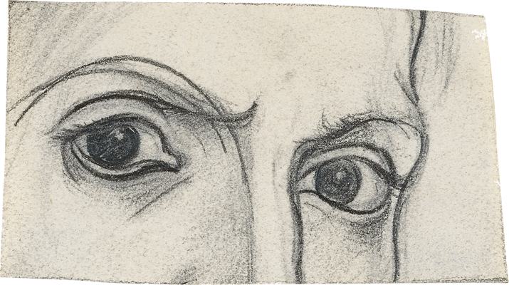 Los ojos de Pablo Picasso