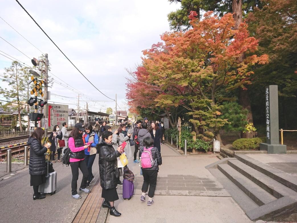 校友鎌倉晩秋紅葉漫步记 北京大学日本校友会