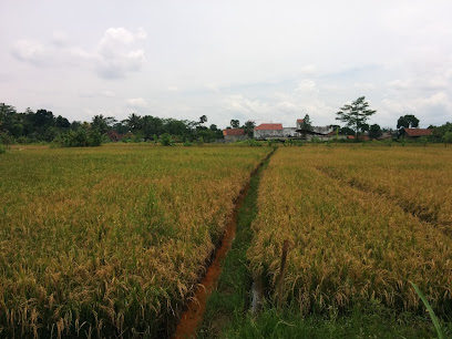 MTs Swasta Persis Sindangkasih