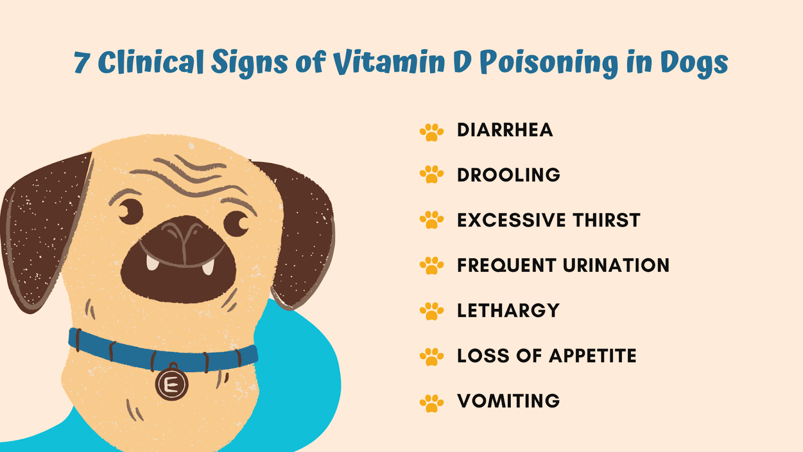 7 signs of vitamin D poisoning in dogs