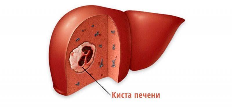 hryV76hDZhu2uzV9HohdeI4KW7zikyyB4M8FP3K4B609IiPqNW8_SLNz6Cn1hA5_jDqtSCAo9eJwpmBwPP2wcmlu5kQeg9C8hYyriPdsR36o92LtnJCvoTrHju-jAZFO9vigKkg